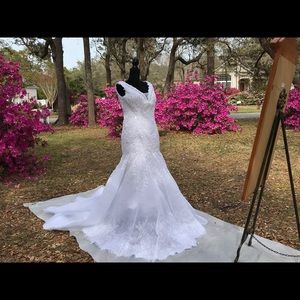 Wedding gown size 14 (also custom orders any size)